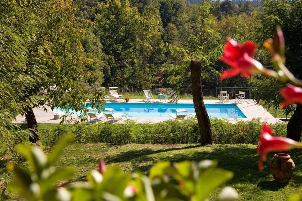Villa Liz Tuscany, Private Pool, Hot Tub, Property Fenced, Pets Allowed بوبّي المظهر الخارجي الصورة